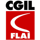 flai logo