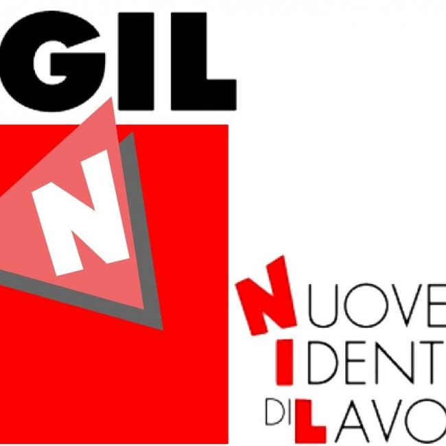 nidil logo