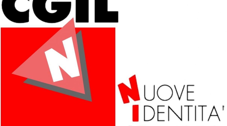 nidil logo
